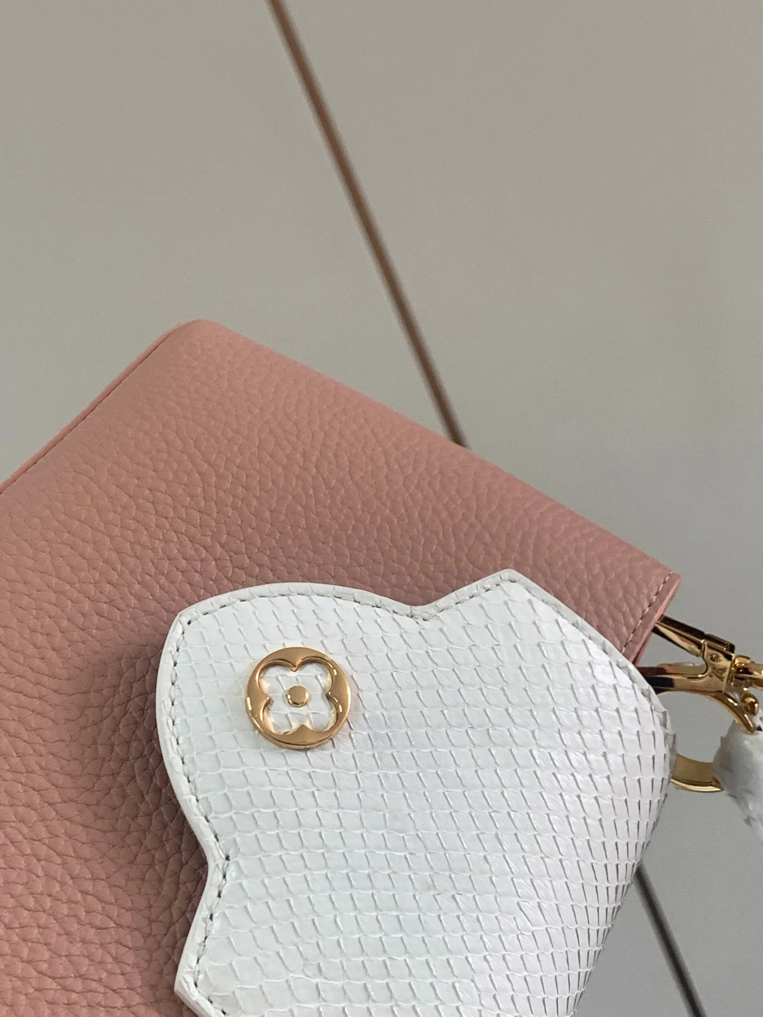Louis Vuitton bag - LITELUX