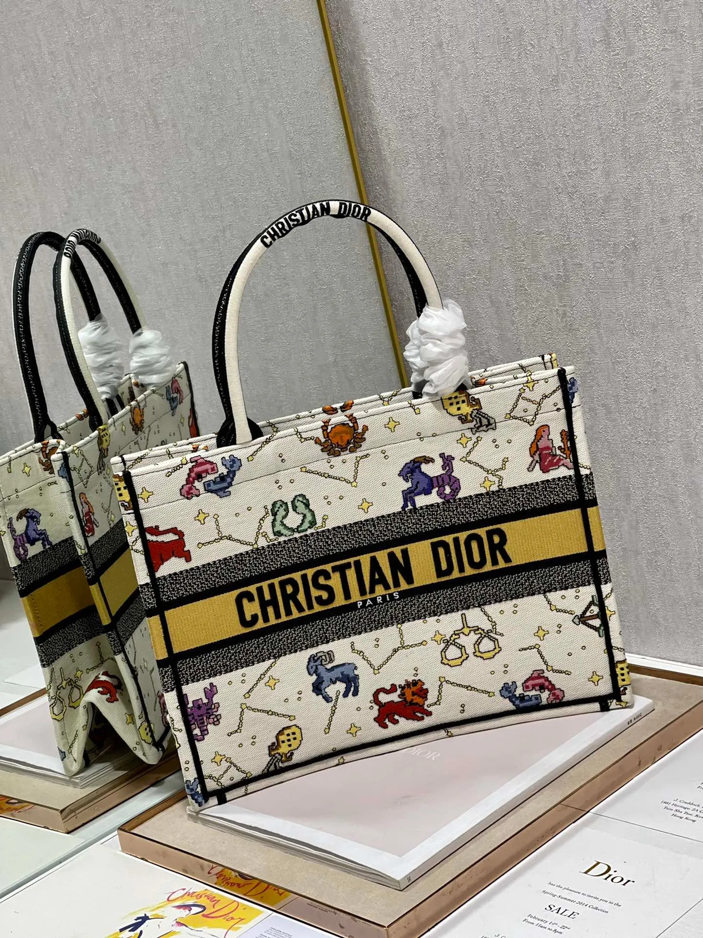 Dior Bag  – 120092239 - LITELUX