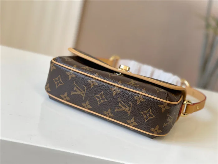 Louis Vuitton Bag - LITELUX