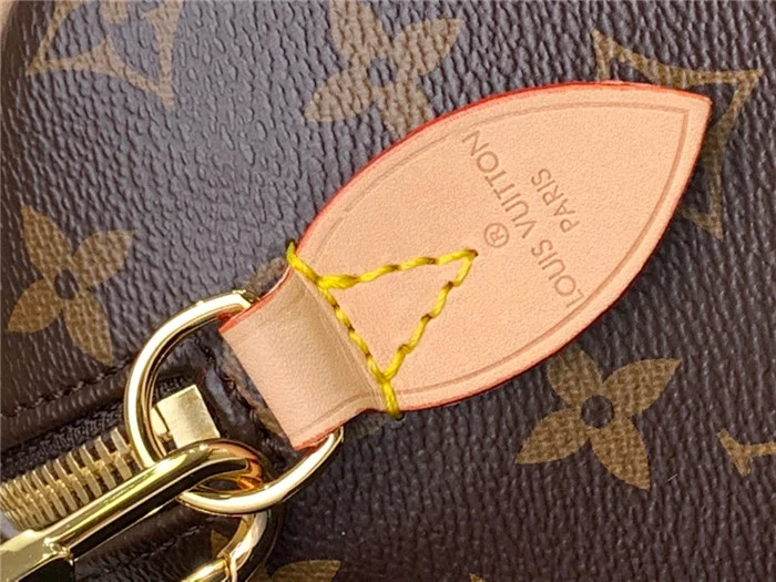 Louis Vuitton Bag - LITELUX