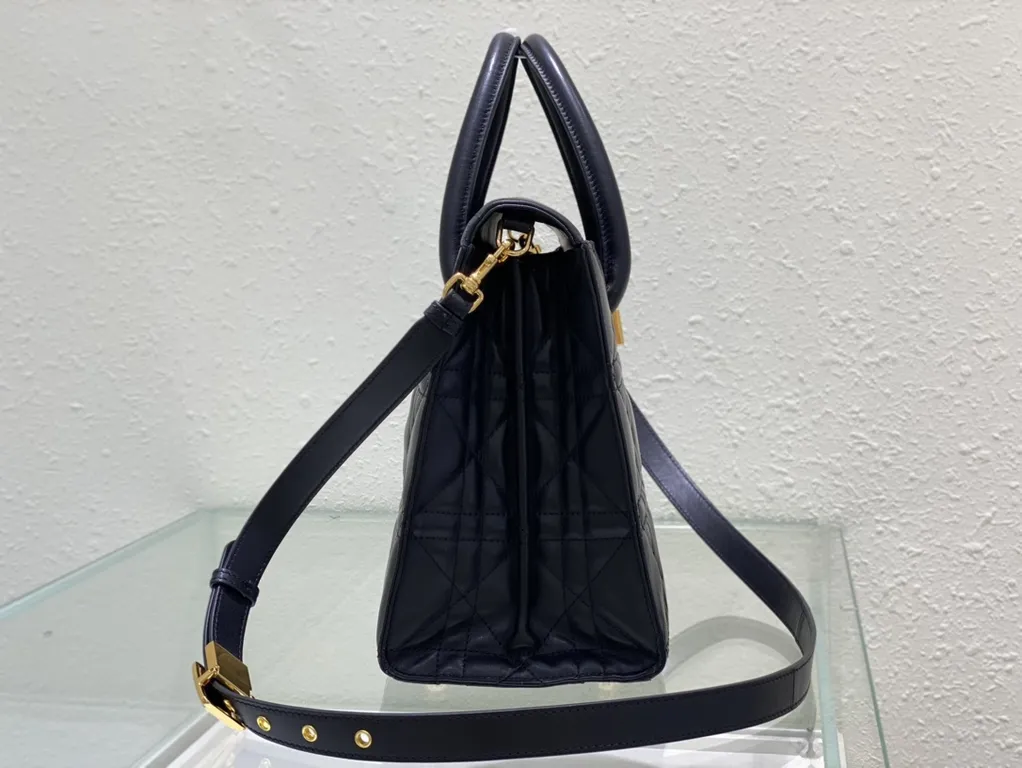 Dior bag - LITELUX