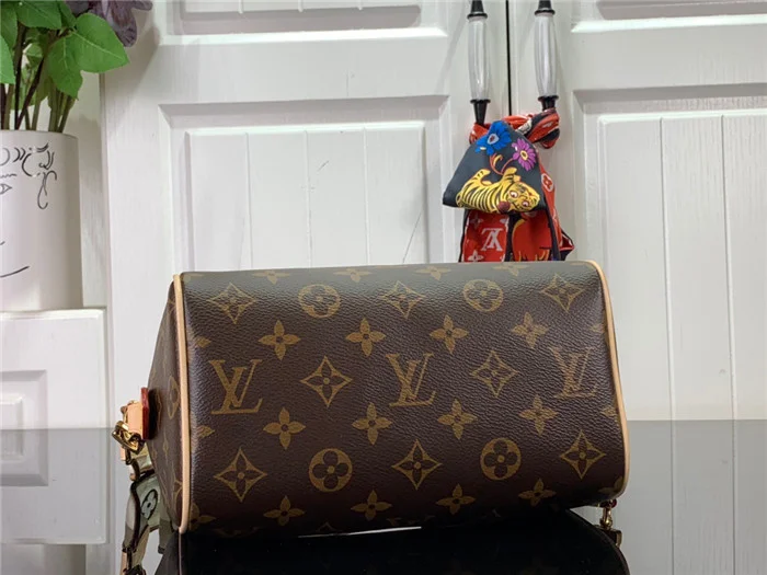 Louis Vuitton Bag - LITELUX