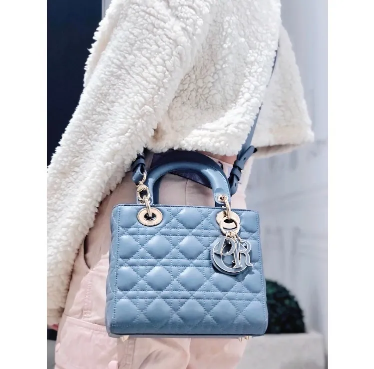 Dior Bag  – 120025611 - LITELUX