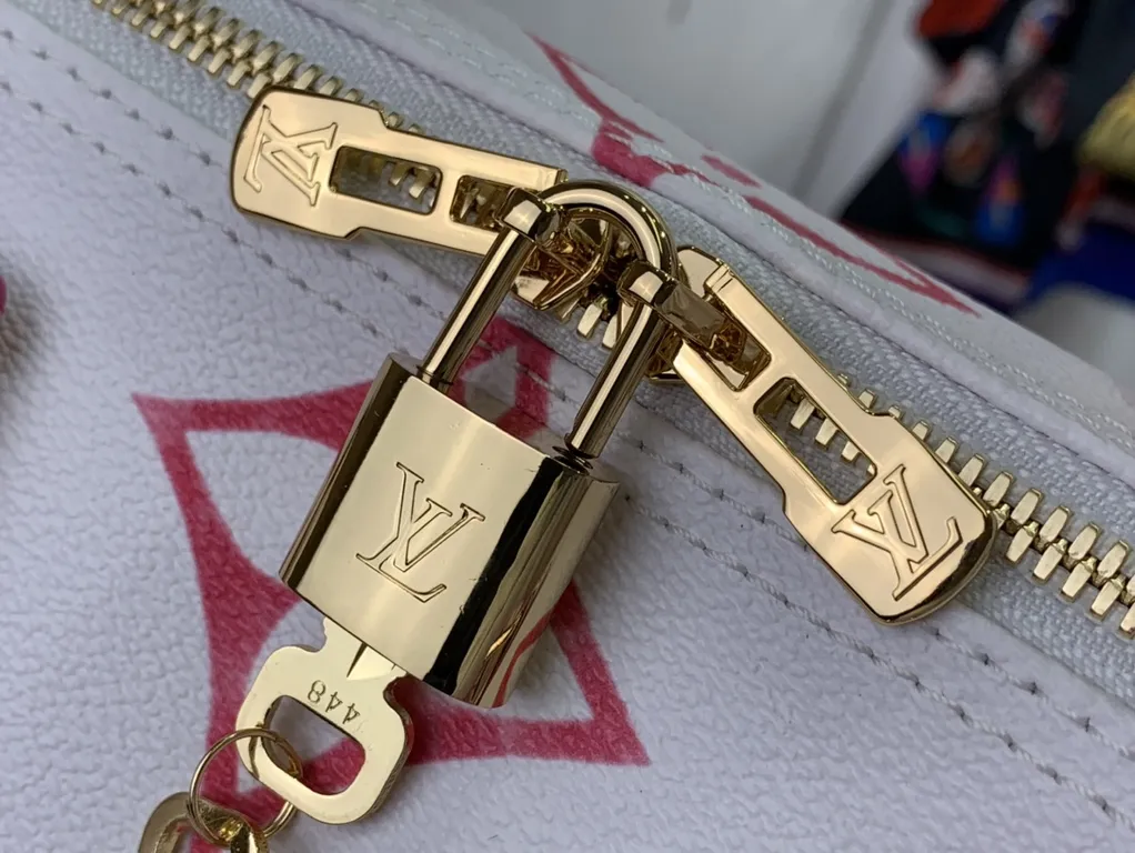 Louis Vuitton bag - LITELUX