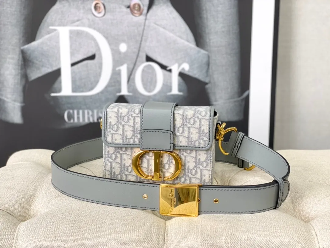 Dior Bag  – 118287656 - LITELUX