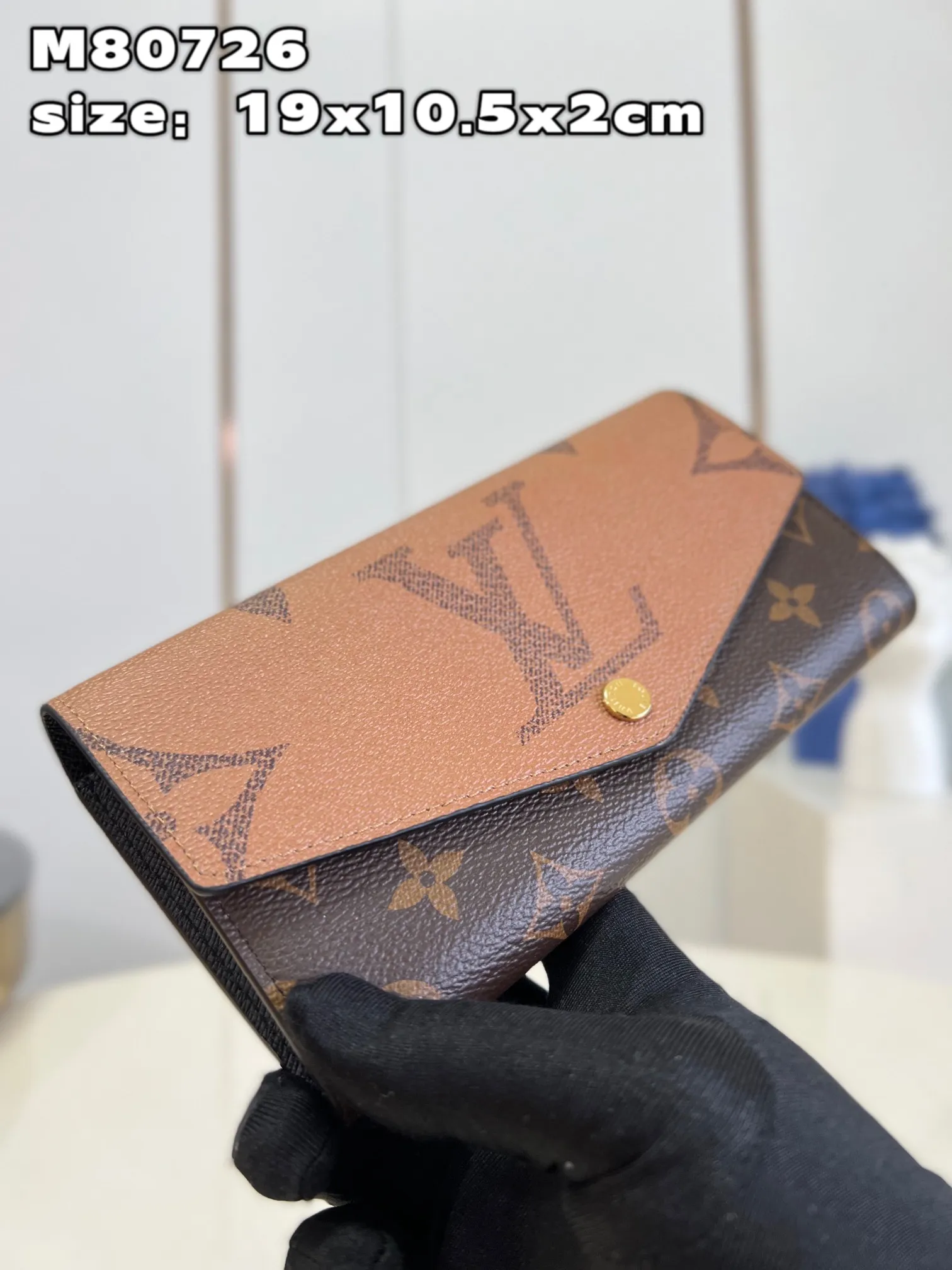 Louis Vuitton bag - LITELUX