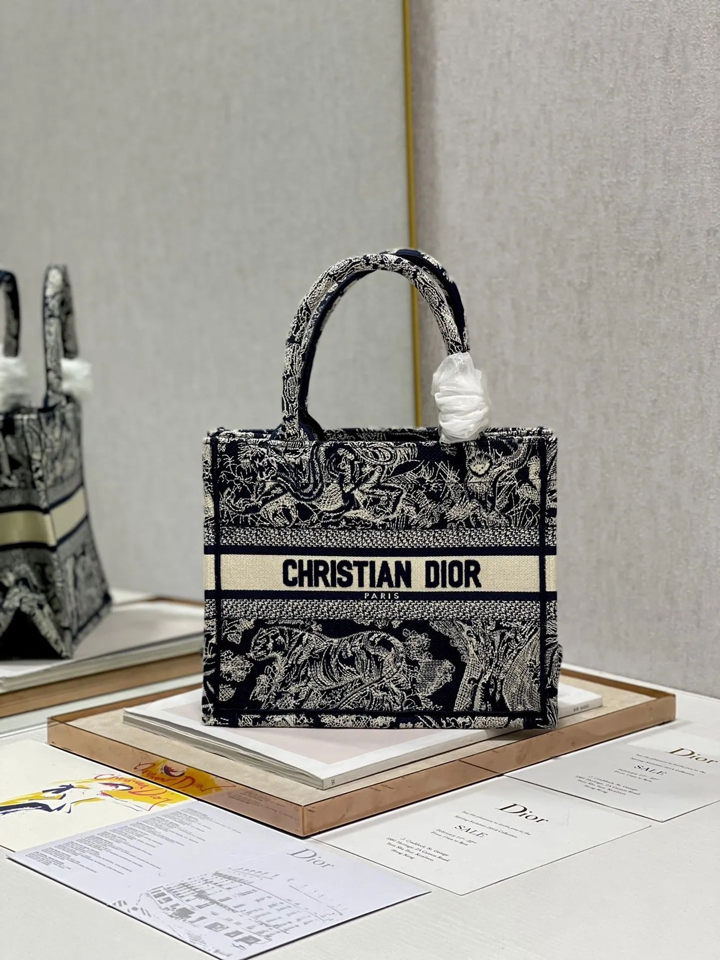 Dior Bag  – 113170385 - LITELUX