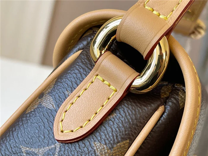 Louis Vuitton Bag - LITELUX