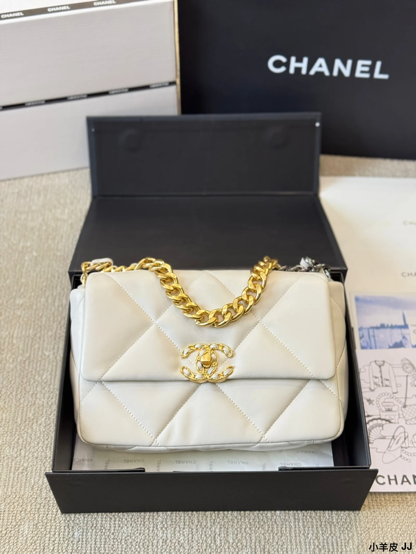 2024 Chanel 19 Woc bag - LITELUX