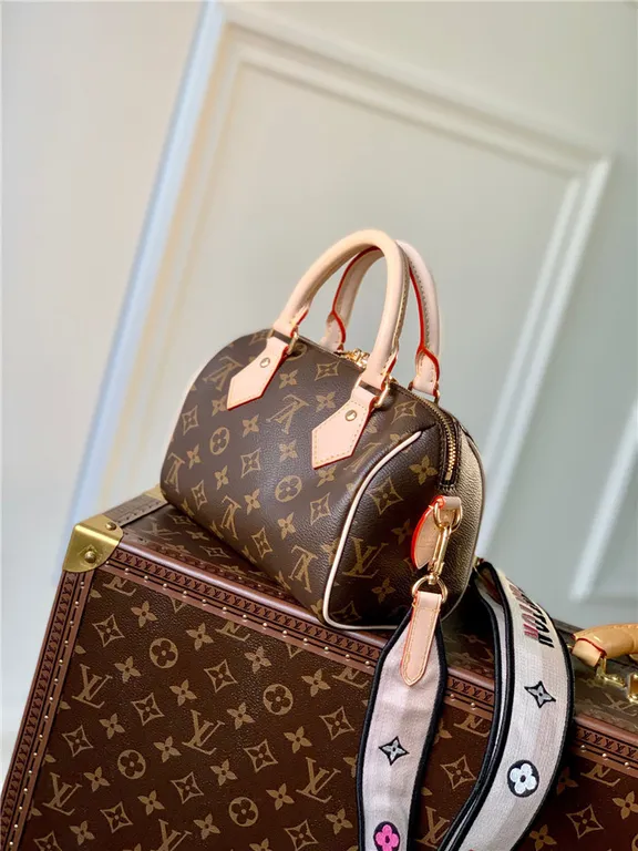 Louis Vuitton Bag - LITELUX