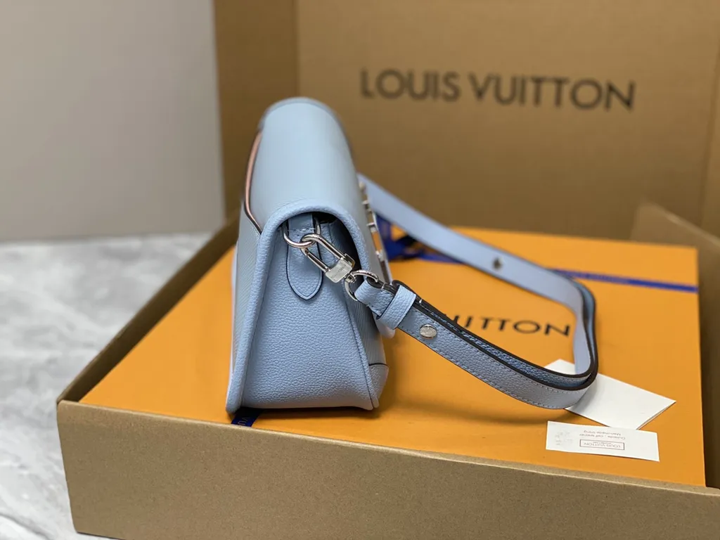 Louis Vuitton bag - LITELUX