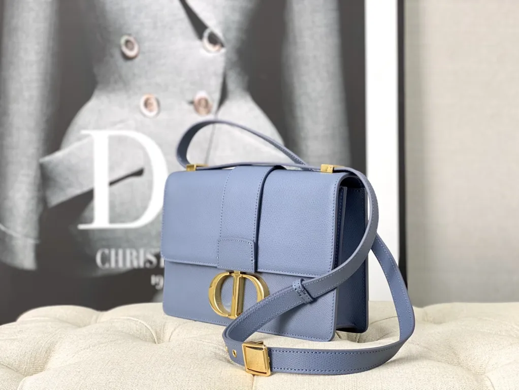 Dior bag - LITELUX