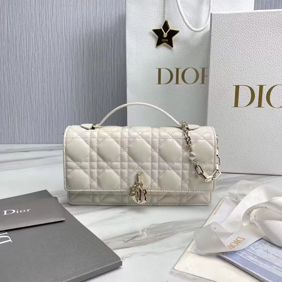 Dior bag - LITELUX