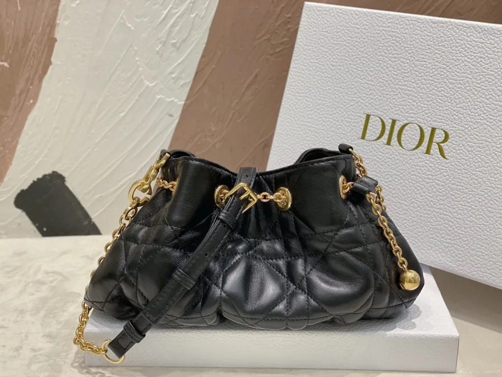 Dior bag - LITELUX