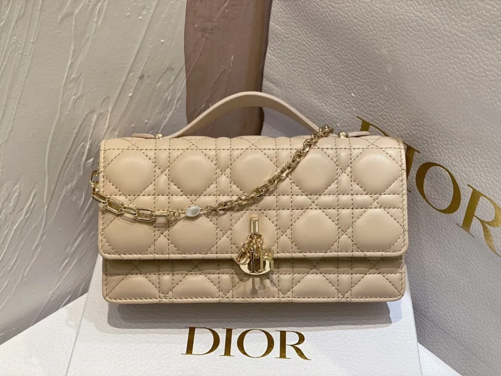 Dior bag - LITELUX