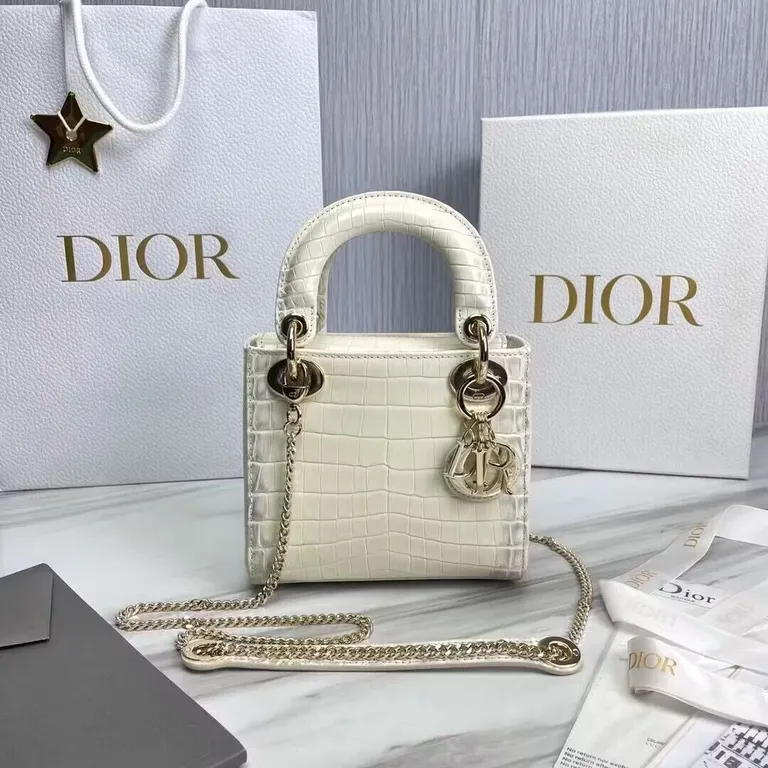 Dior bag - LITELUX