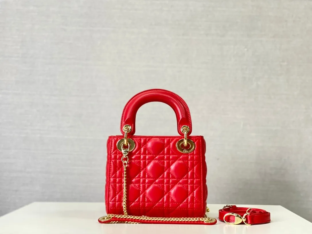 Dior Bag  – 120024881 - LITELUX