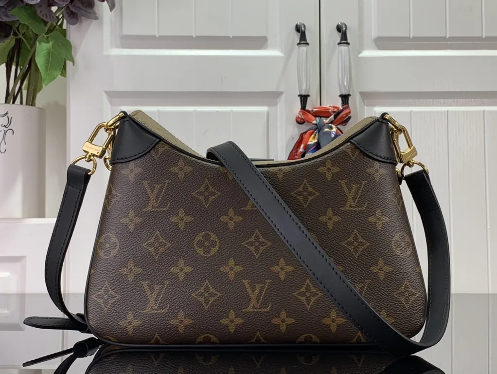 Louis Vuitton bag - LITELUX