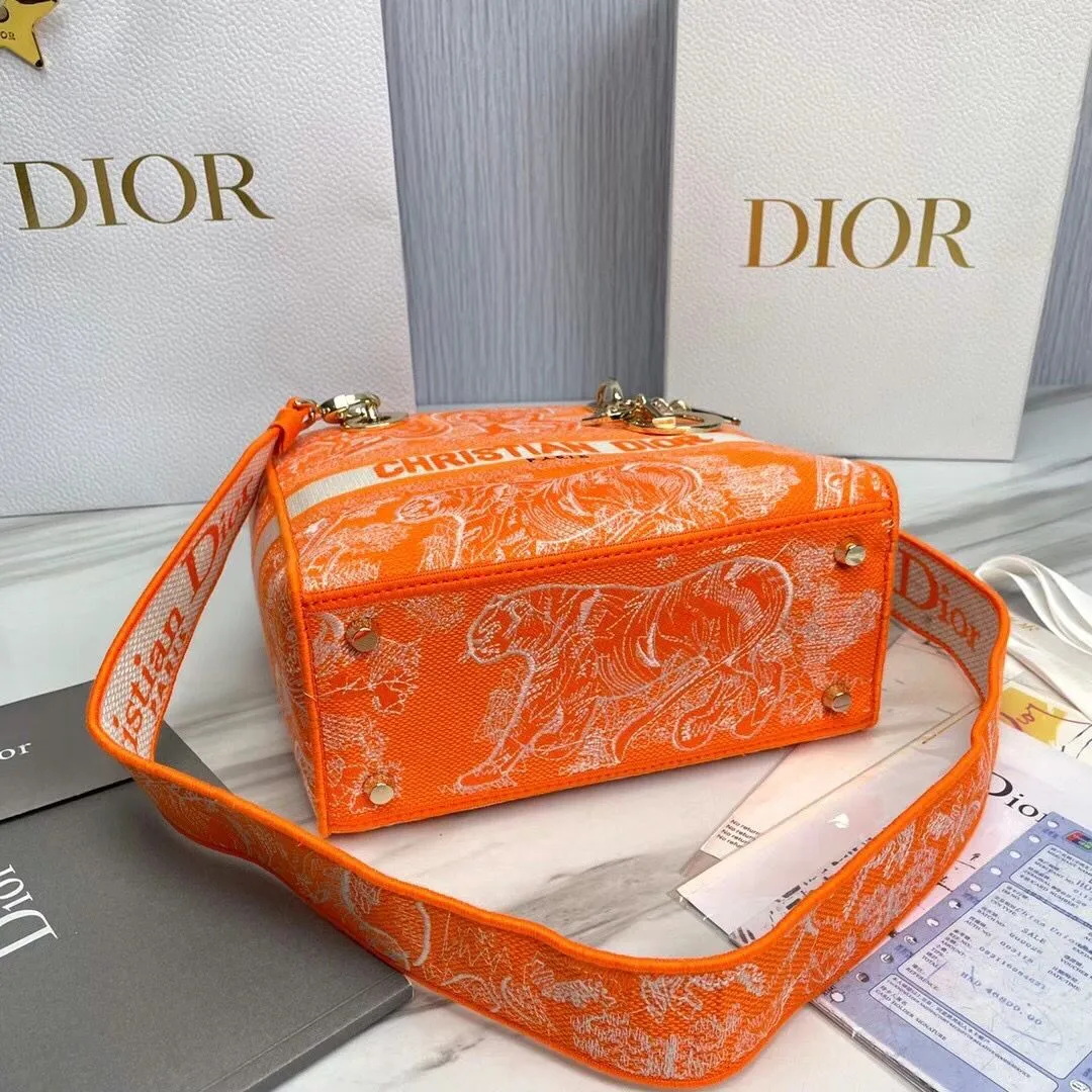 Dior bag - LITELUX