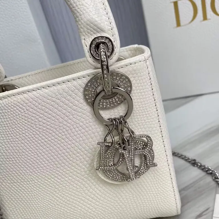 Dior bag - LITELUX