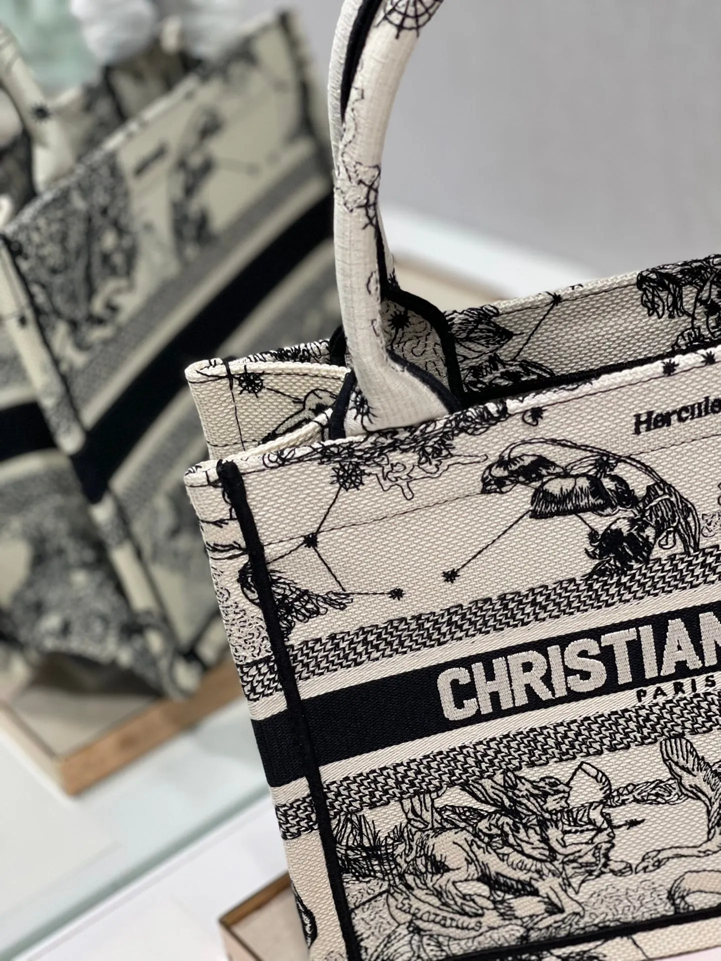 Dior Bag  – 113170438 - LITELUX