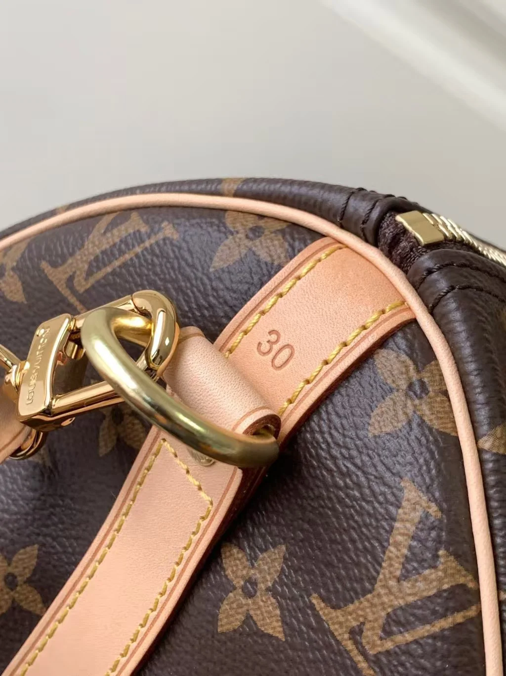 2025 Louis vuitton SPEEDY - LITELUX