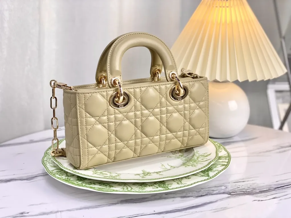 Dior bag - LITELUX