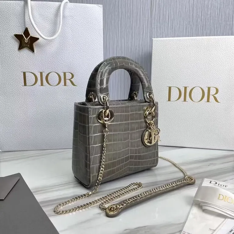 Dior bag - LITELUX