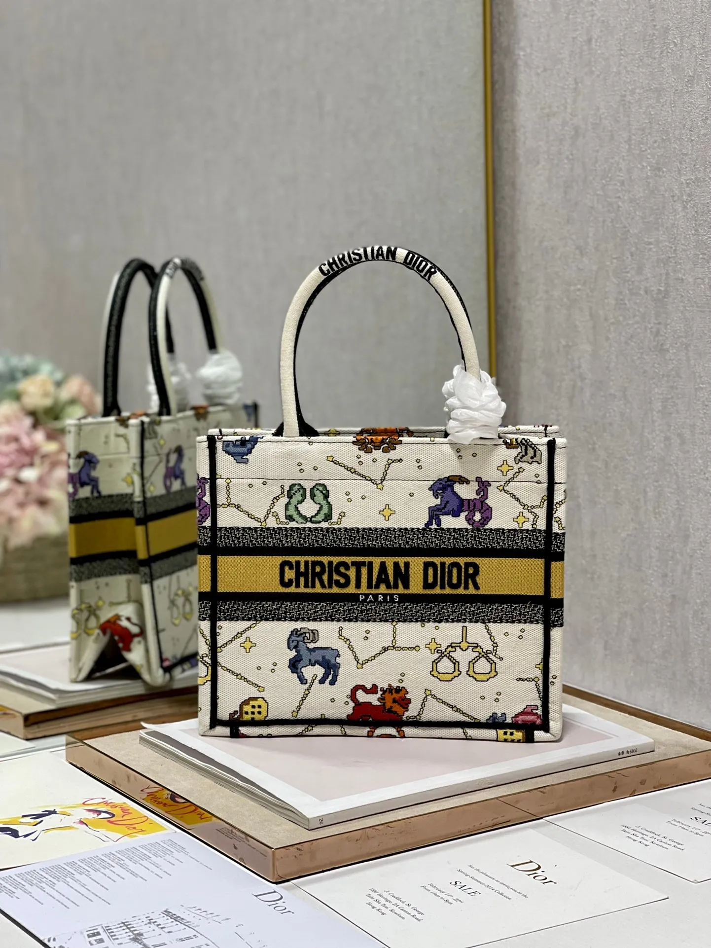 Dior Bag  – 120092300 - LITELUX