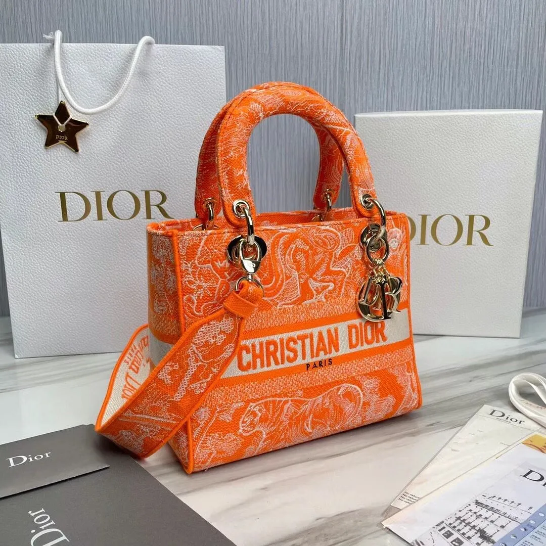 Dior bag - LITELUX