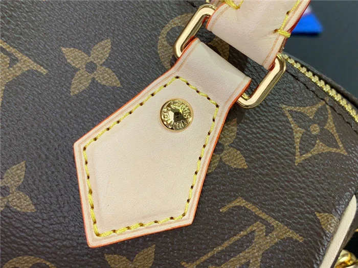 Louis Vuitton Bag - LITELUX