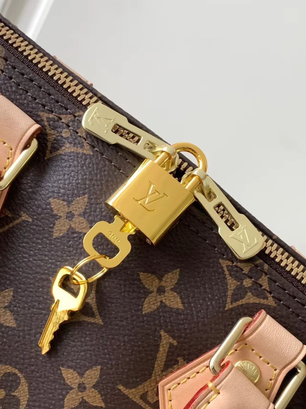 2025 Louis vuitton SPEEDY - LITELUX