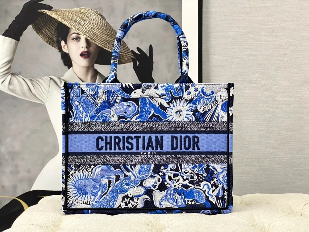 Dior Bag  – 121542272 - LITELUX