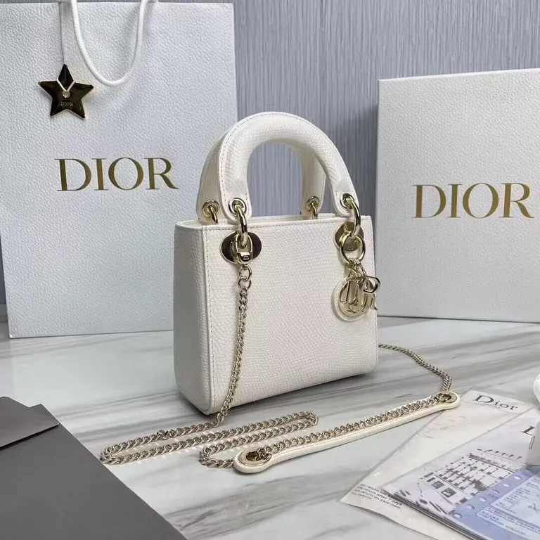Dior bag - LITELUX