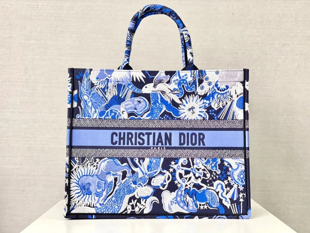 Dior Bag  – 120025684 - LITELUX