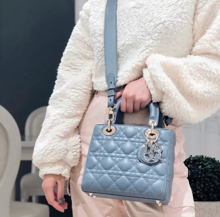 Dior Bag  – 120025611 - LITELUX