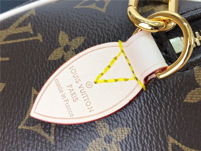 Louis Vuitton Bag - LITELUX