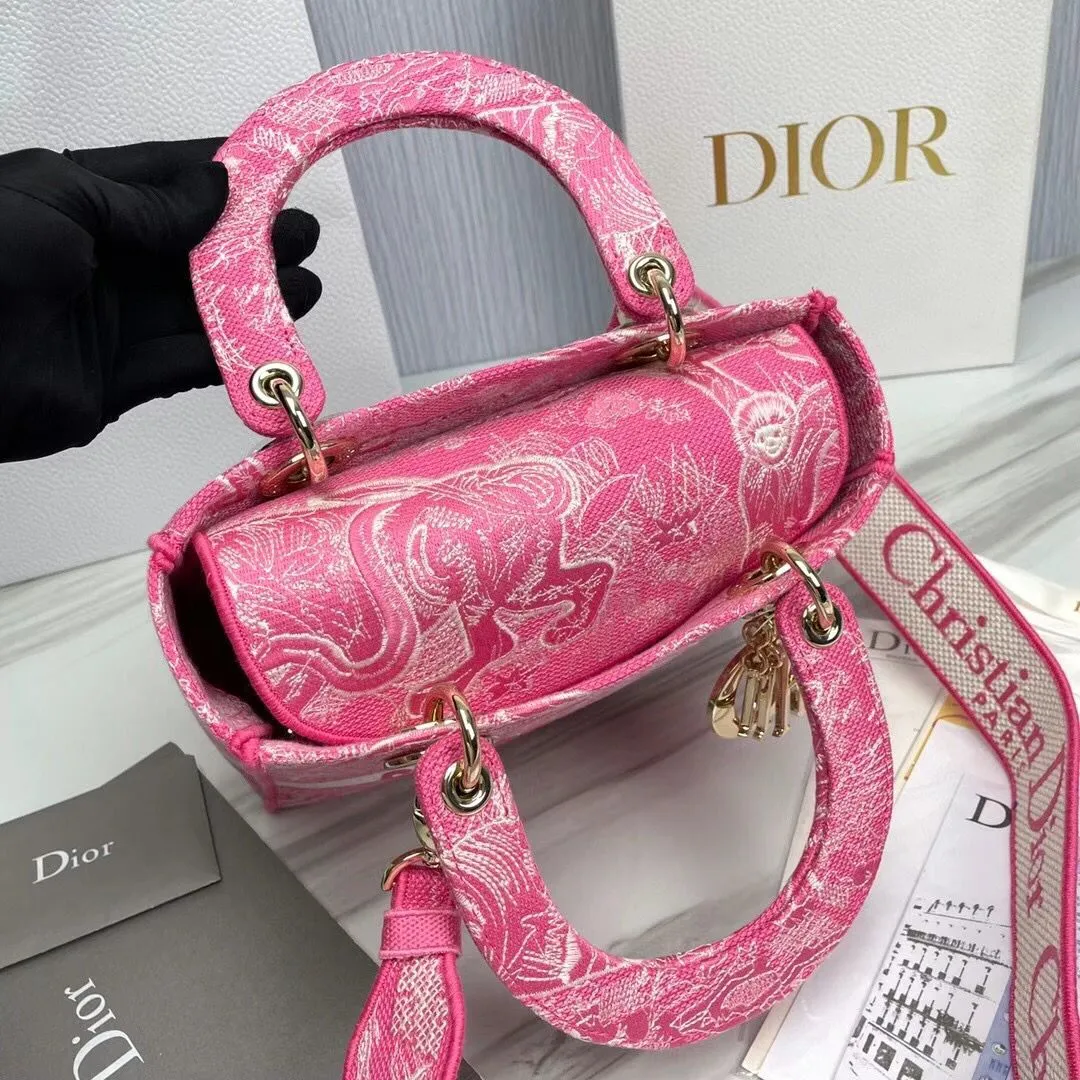 Dior bag - LITELUX