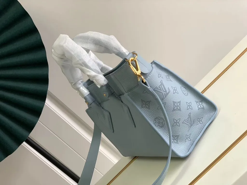 Louis Vuitton bag - LITELUX