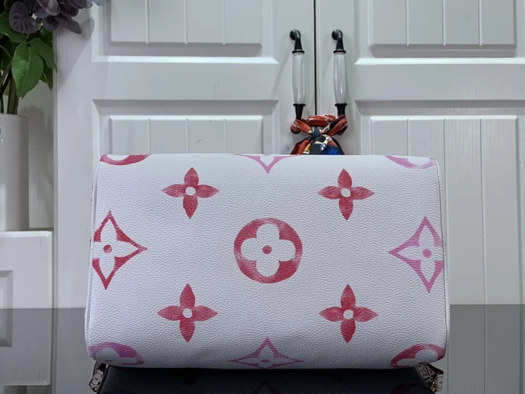 Louis Vuitton bag - LITELUX