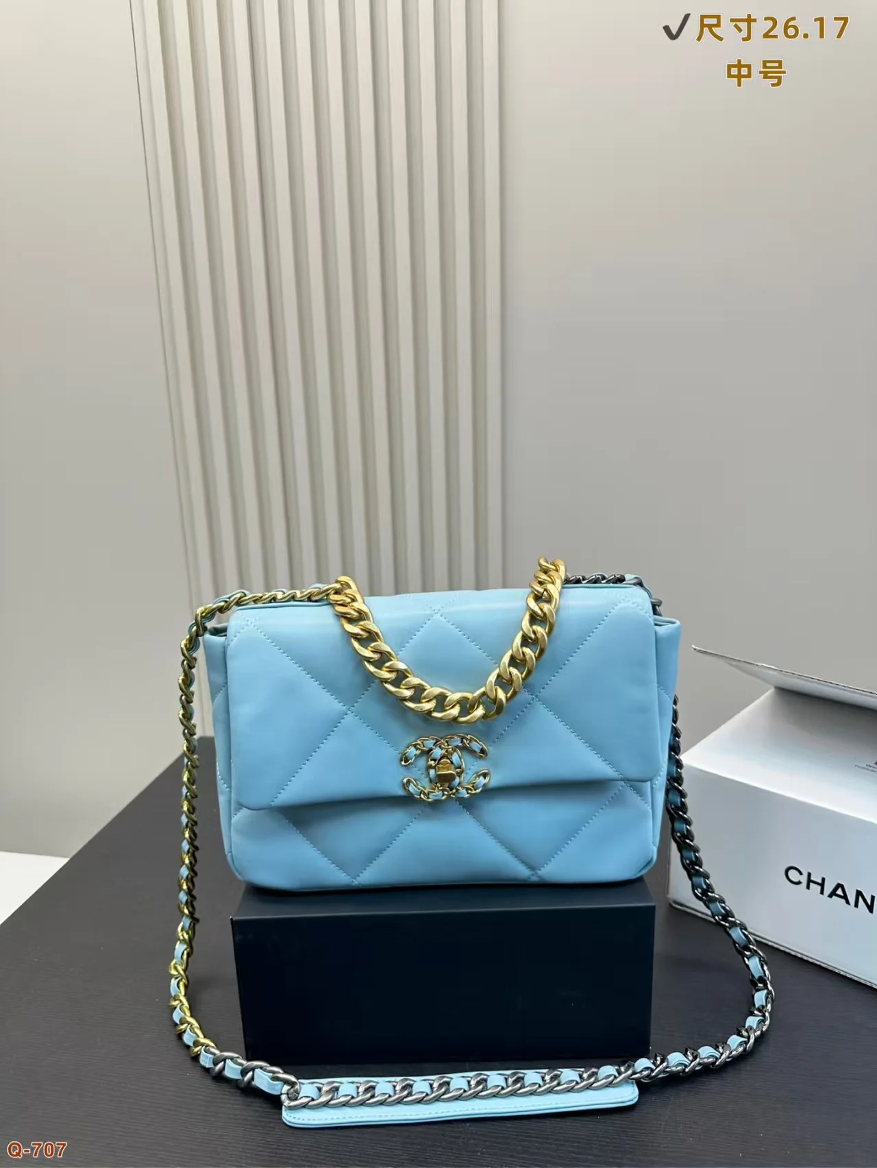 2024 Chanel 19 Woc bag - LITELUX