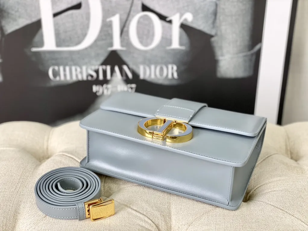 Dior bag - LITELUX