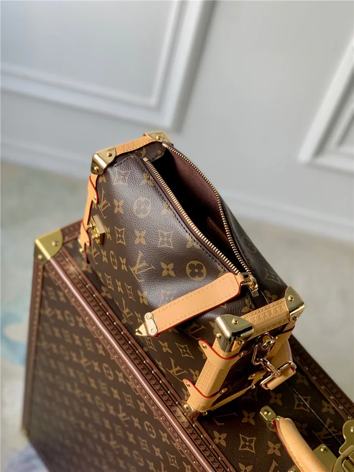 Louis Vuitton Bag - LITELUX