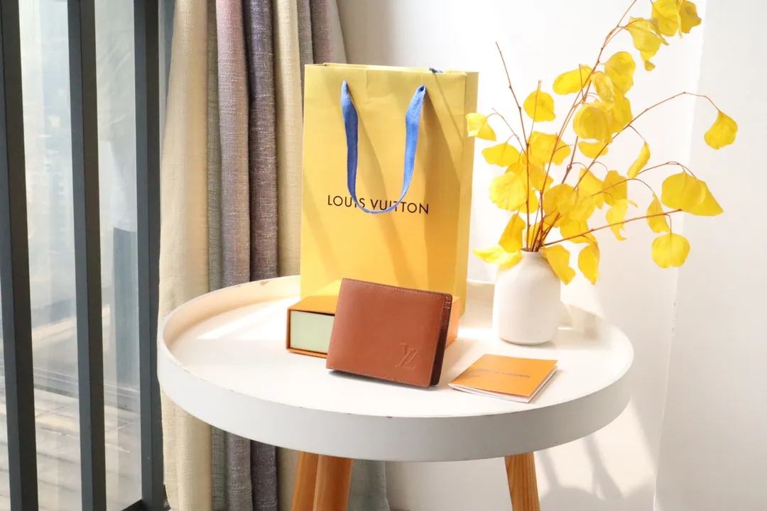 Louis Vuitton bag - LITELUX