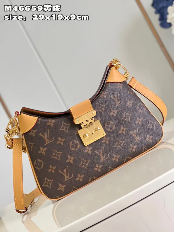 Louis Vuitton bag - LITELUX