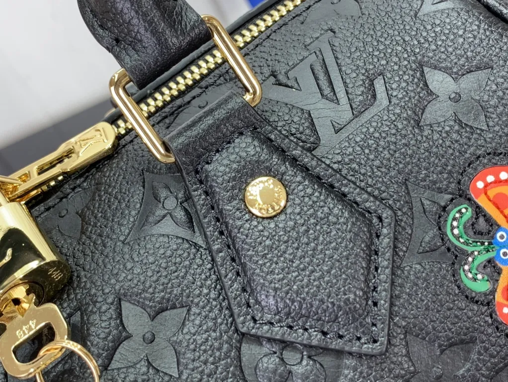 Louis Vuitton bag - LITELUX