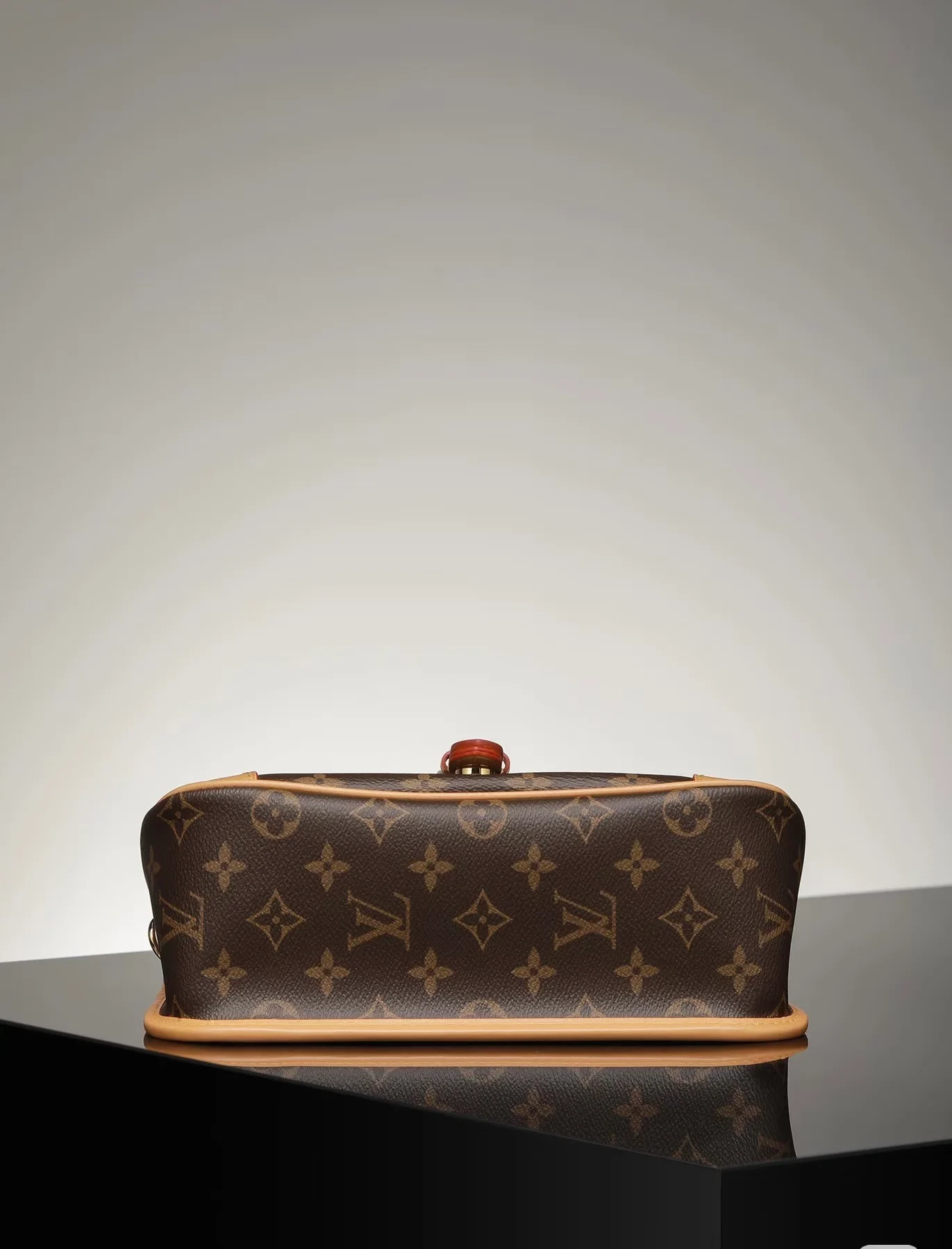 Louis Vuitton / LV Diane M45985 size: 25.0*9.0*15.0cm - LITELUX