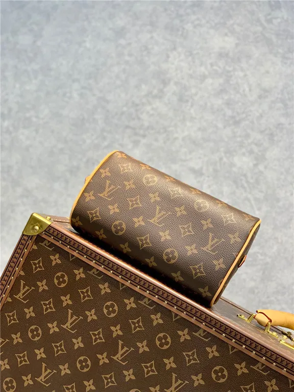 Louis Vuitton Bag - LITELUX