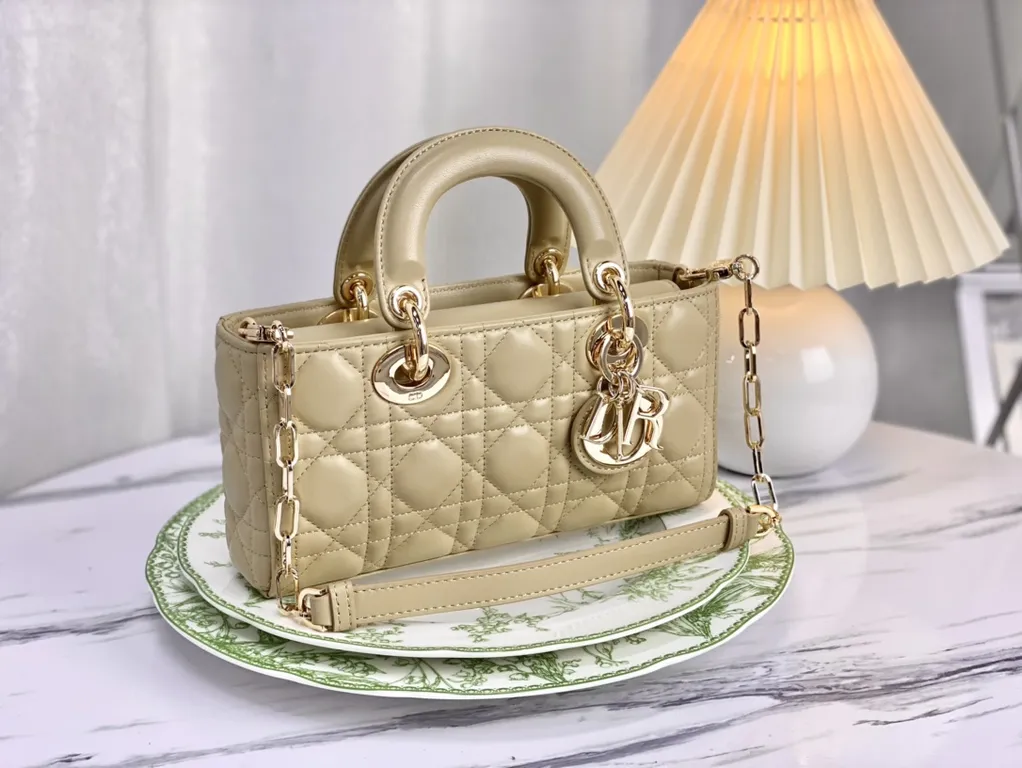 Dior bag - LITELUX