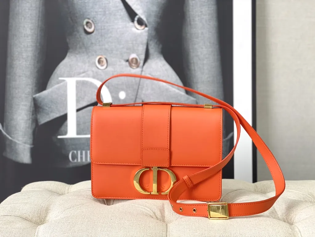 Dior bag - LITELUX